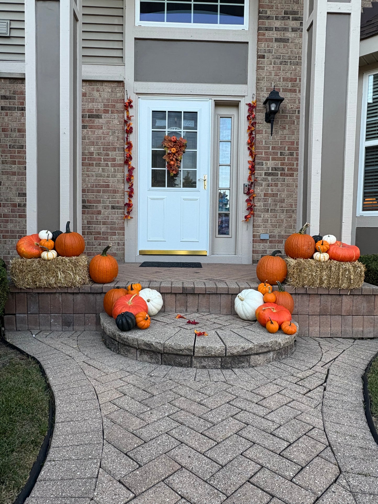 Package 1 (Large): Pumpkin Pathway