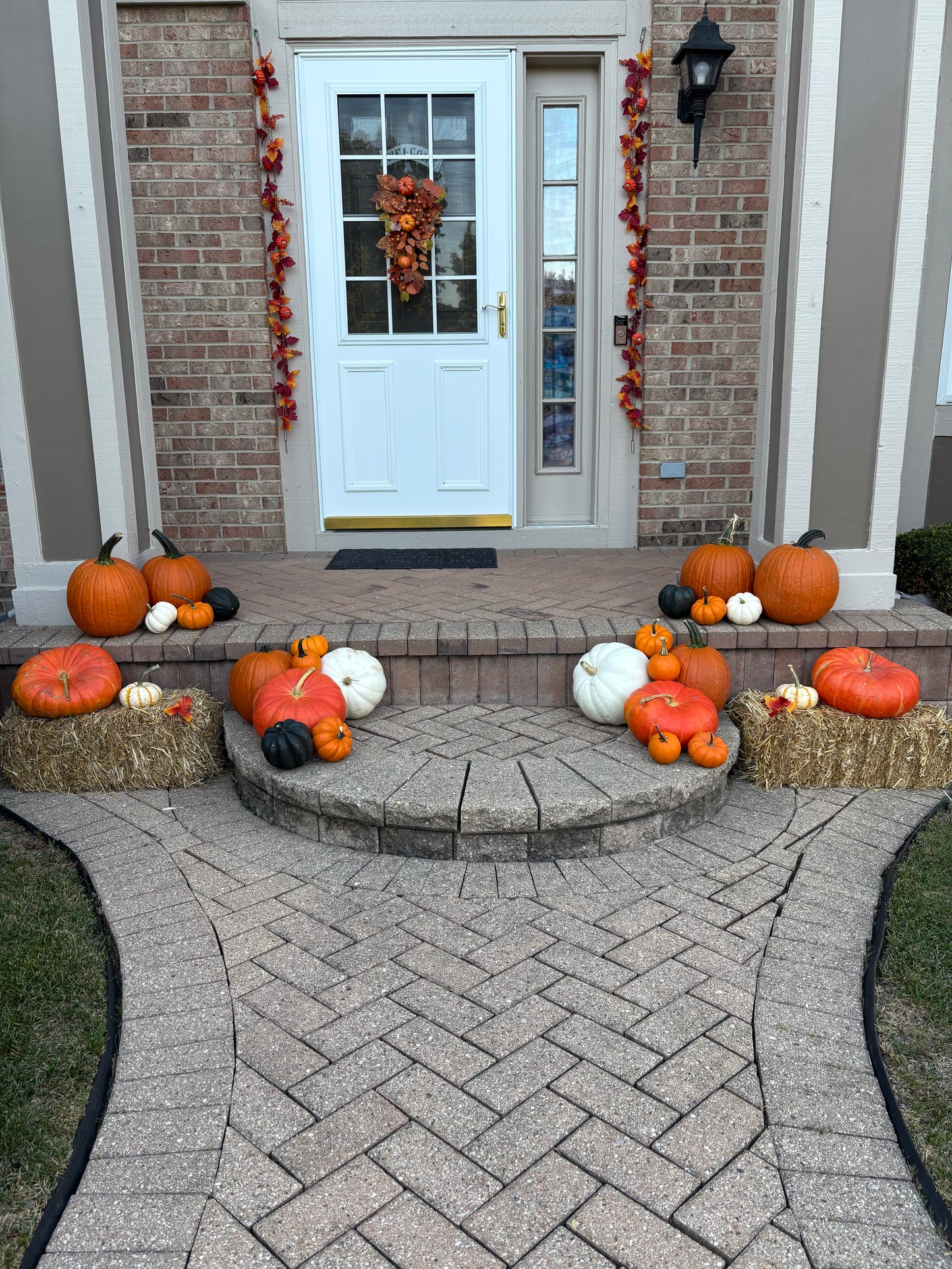 Package 1 (Large): Pumpkin Pathway