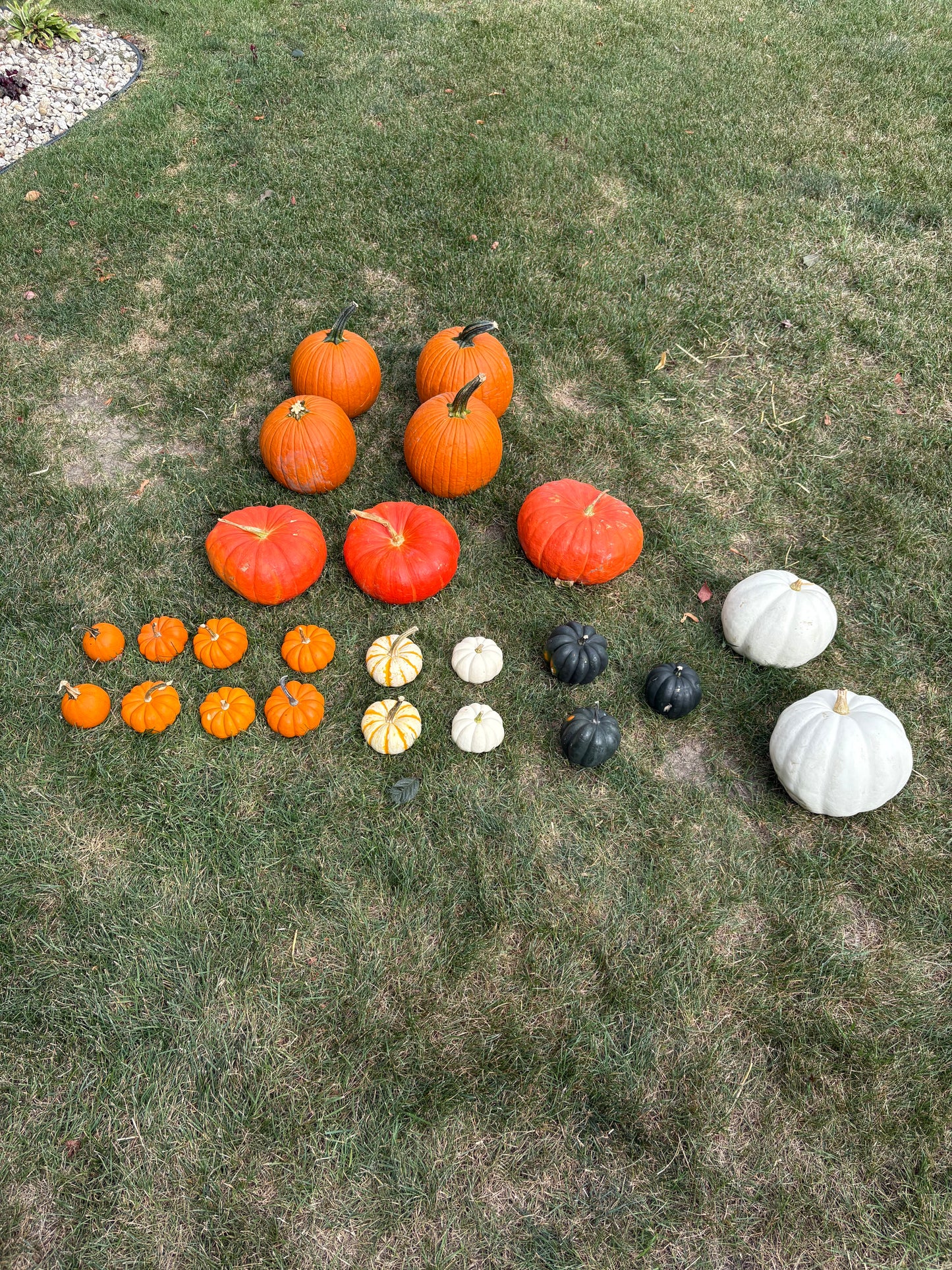 Package 2 (Small): Pumpkin Porch Touch
