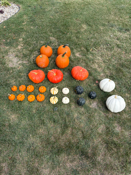 Package 2 (Small): Pumpkin Porch Touch